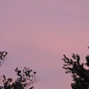 富婆内裤在线视频
